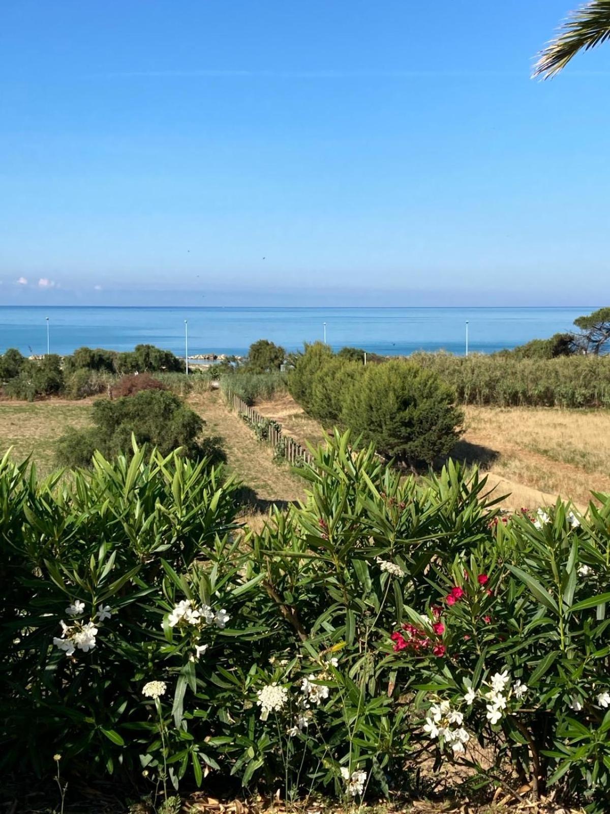Domus Mare Luxury Daire San Leone Dış mekan fotoğraf