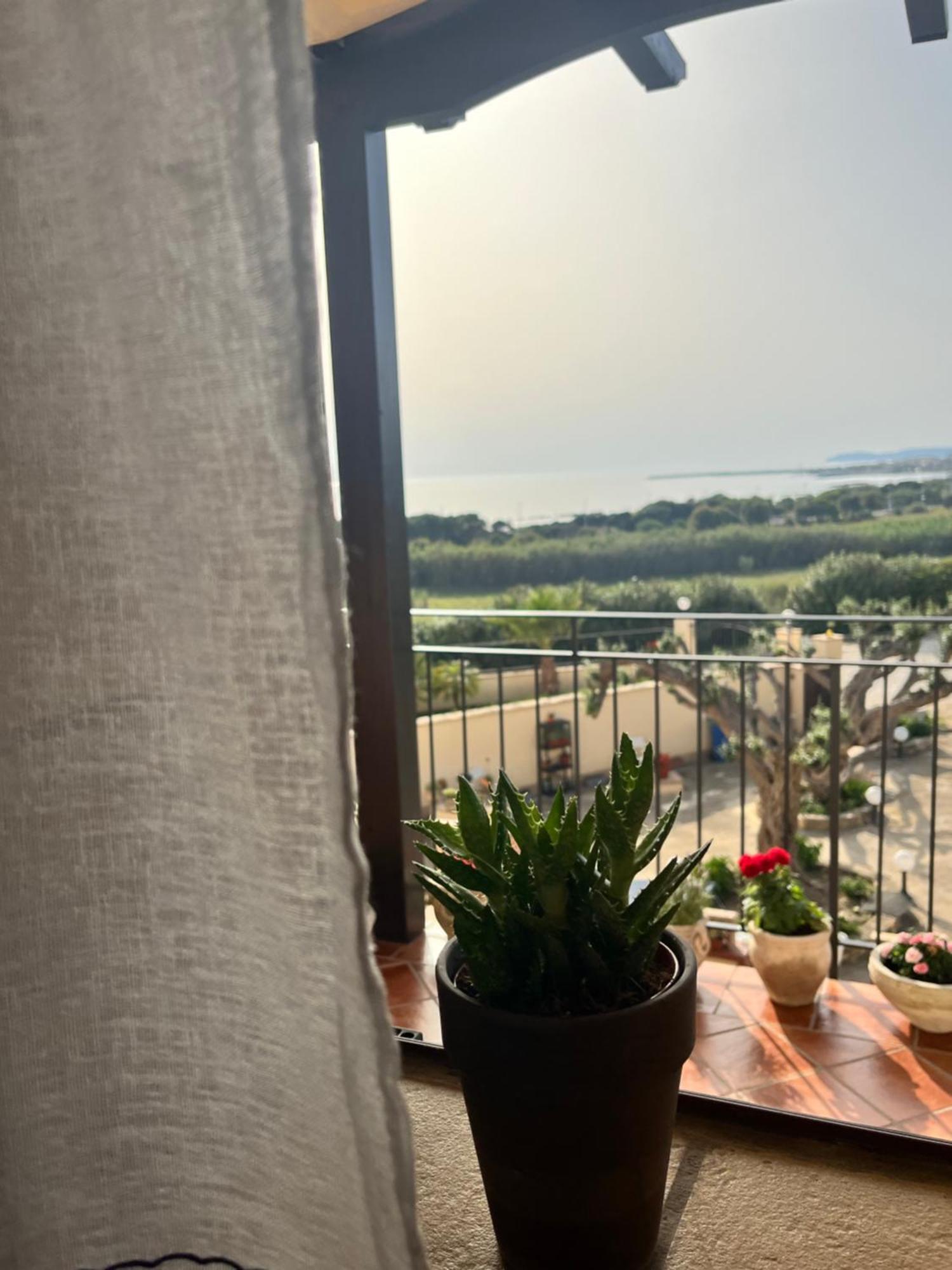 Domus Mare Luxury Daire San Leone Dış mekan fotoğraf